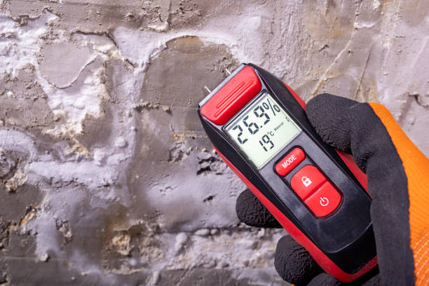 Best Local Mold Removal Service  in Minonk, IL