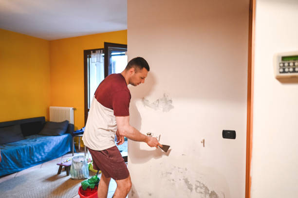 Home Mold Removal in Minonk, IL